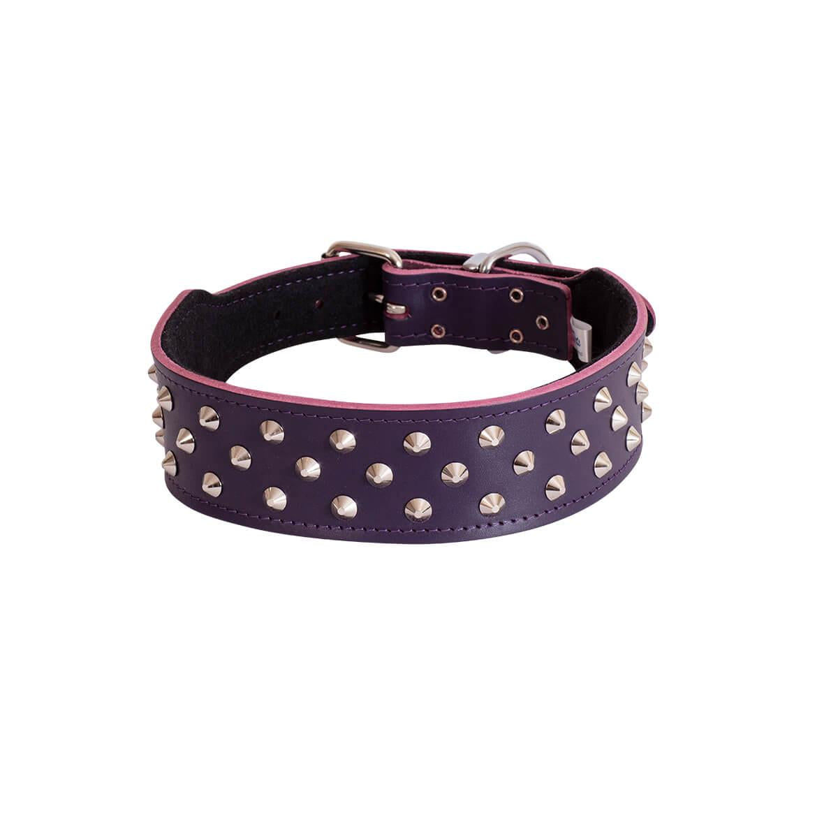 Dog Collar Staffy/Bull Terrier Leather with Studs 43mm