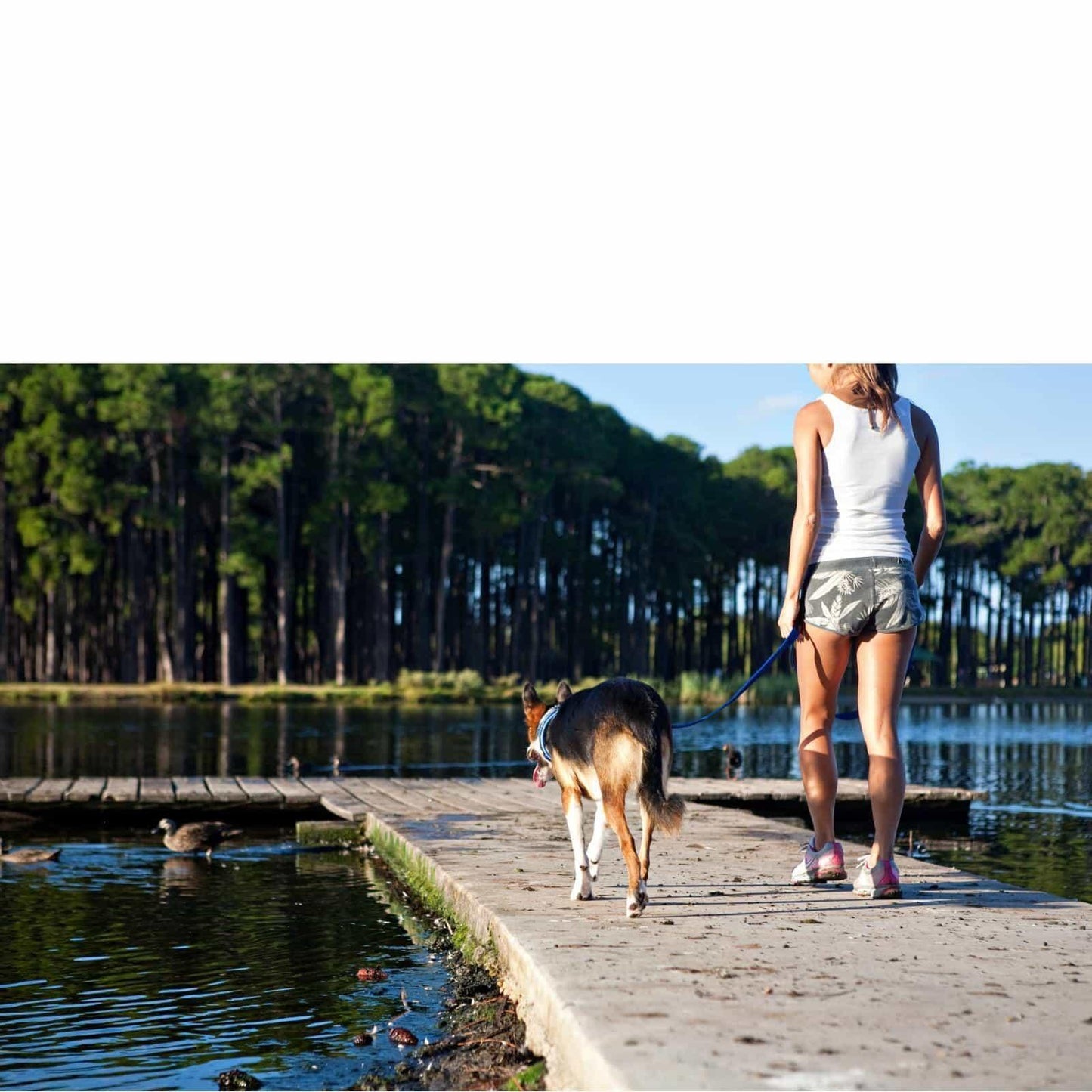 EzyDog Vario 4 Lite Multi Function Dog Lead