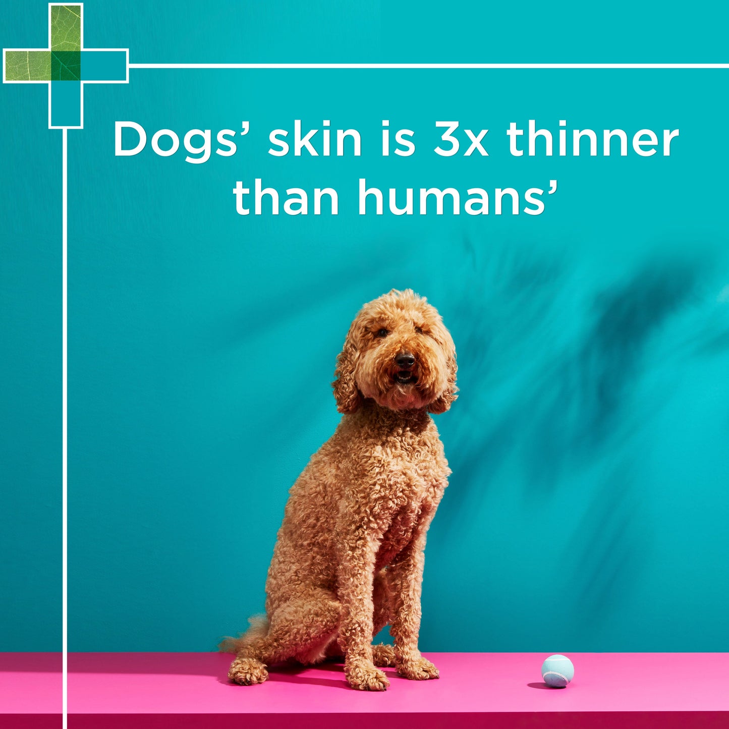 PAW Lavender Grooming Mist