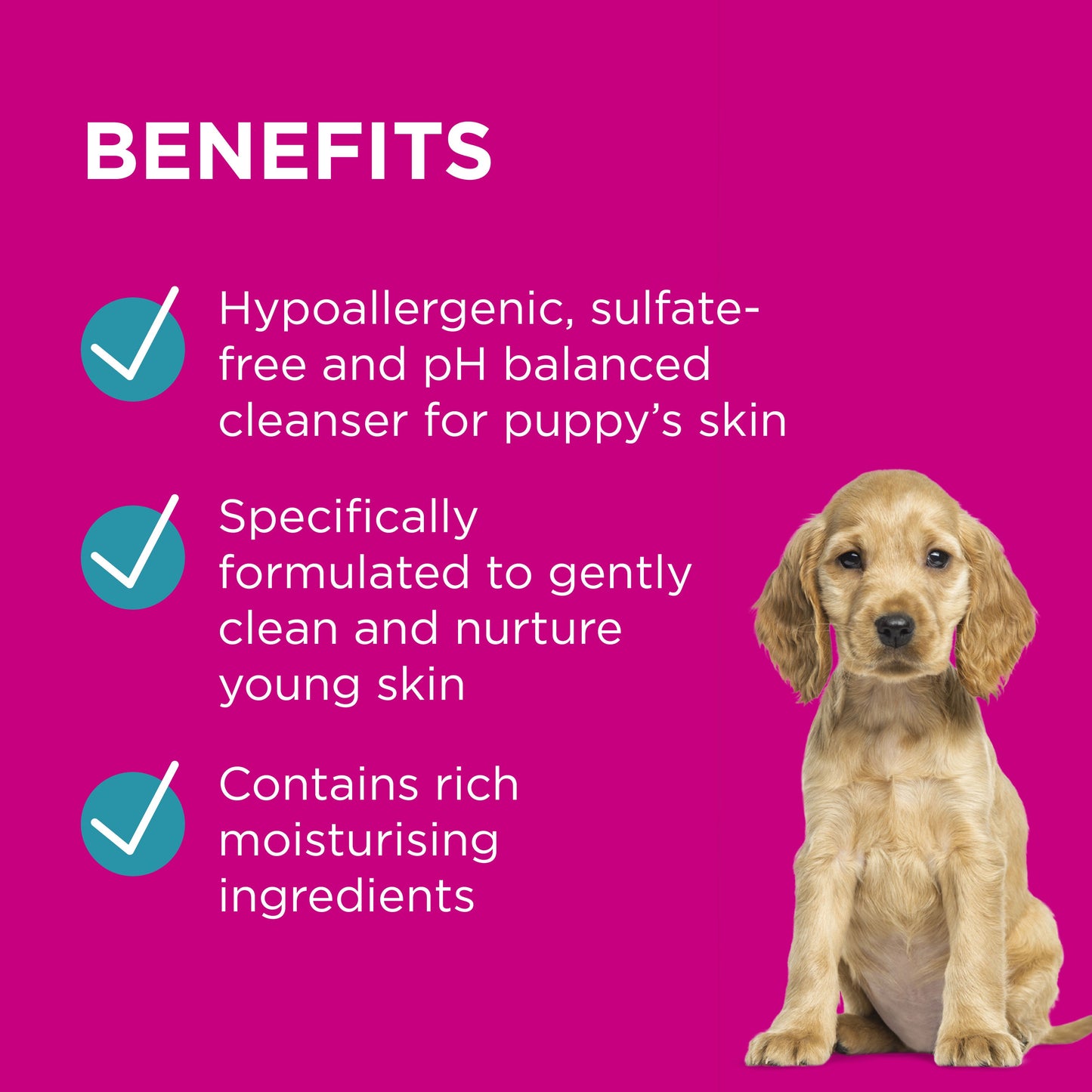 PAW Puppy Conditioning Spray