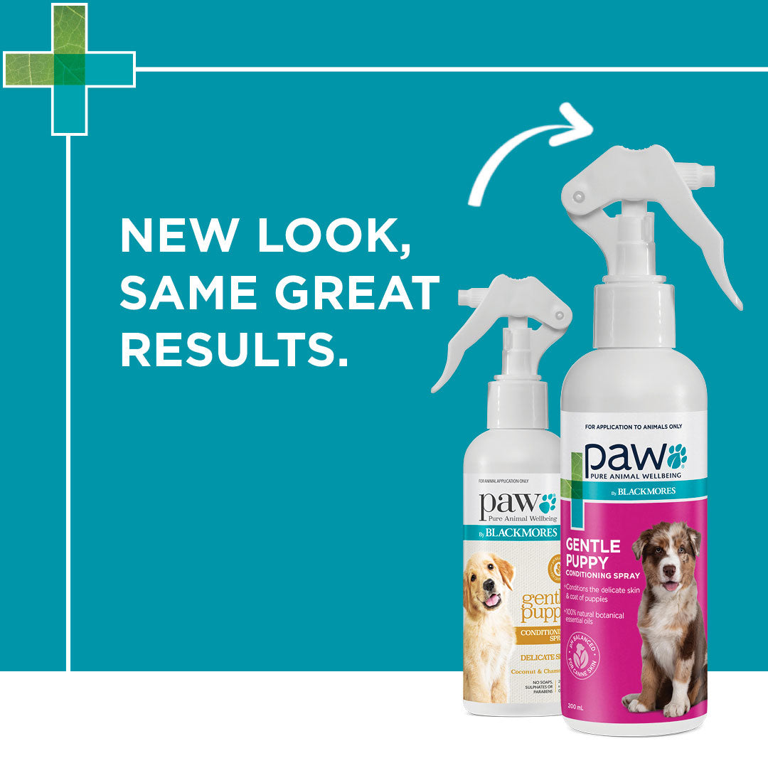 PAW Puppy Conditioning Spray