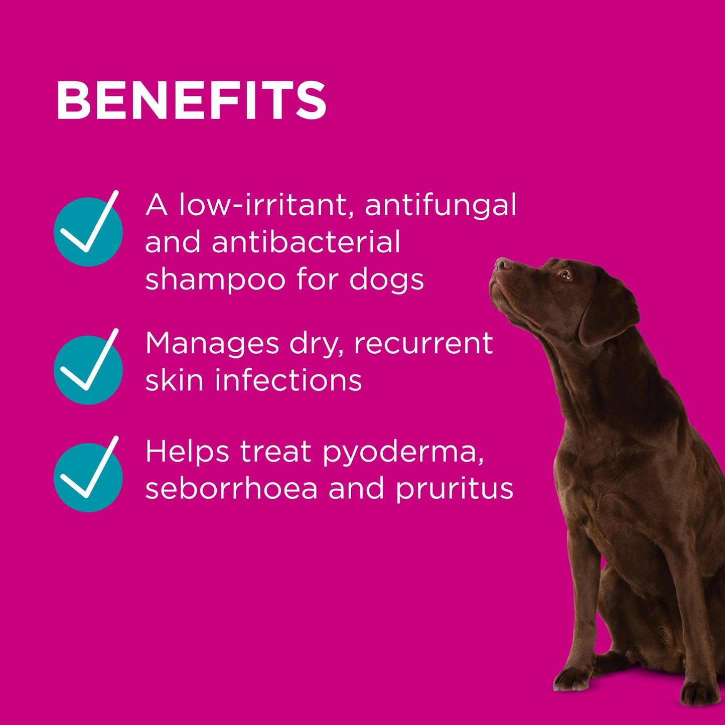 PAW Mediderm Shampoo