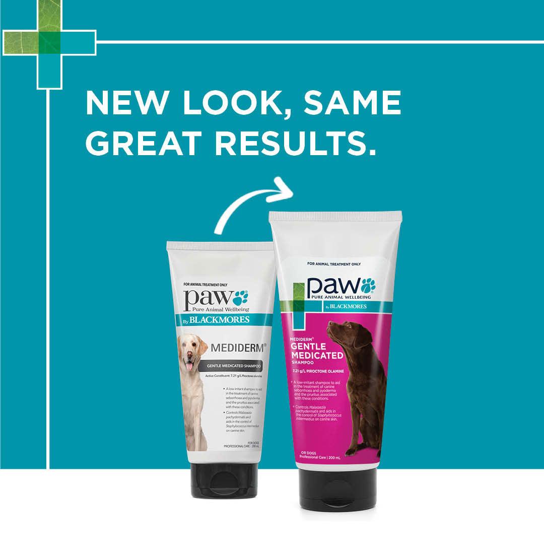 PAW Mediderm Shampoo