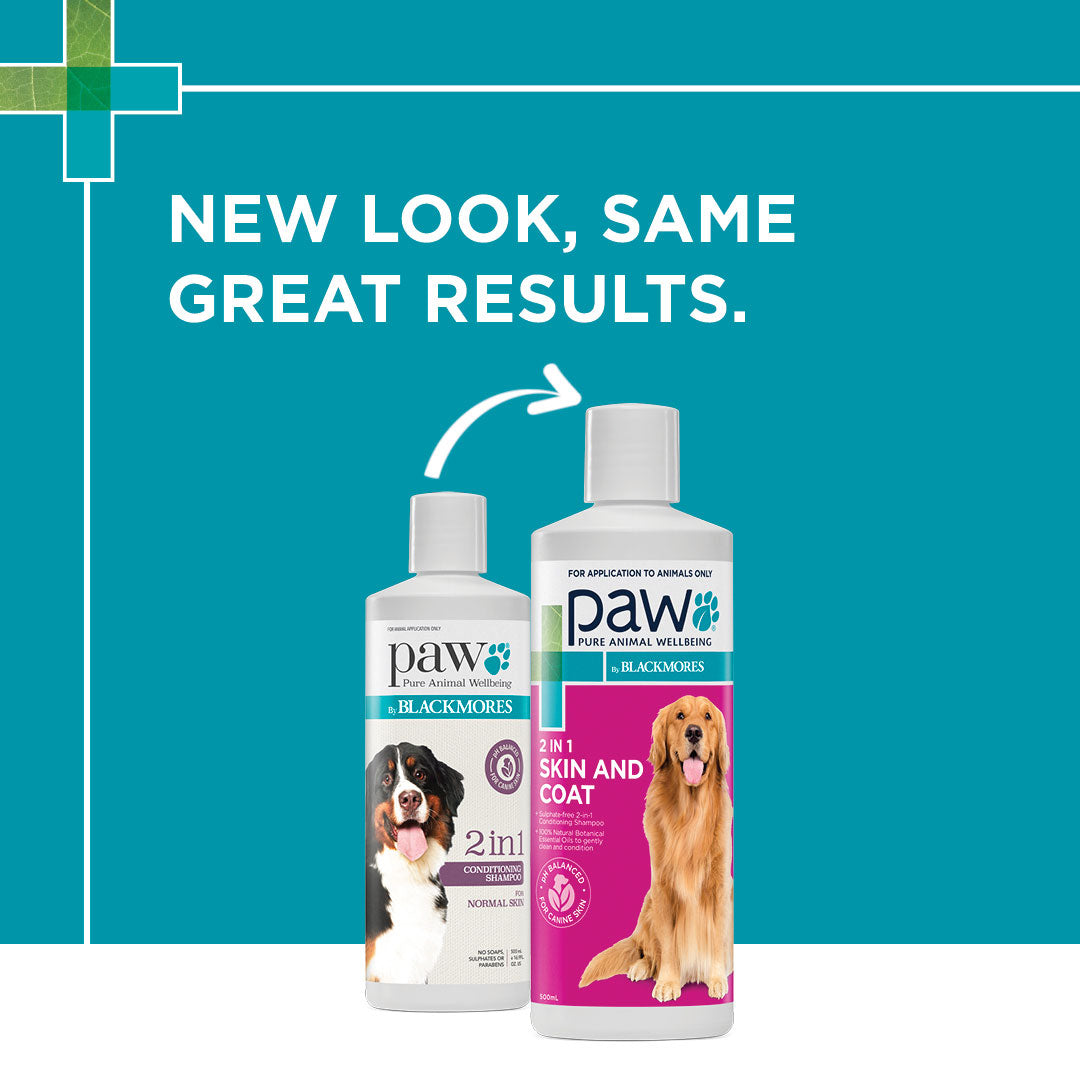 PAW 2 in 1 Conditioning Dog Shampoo