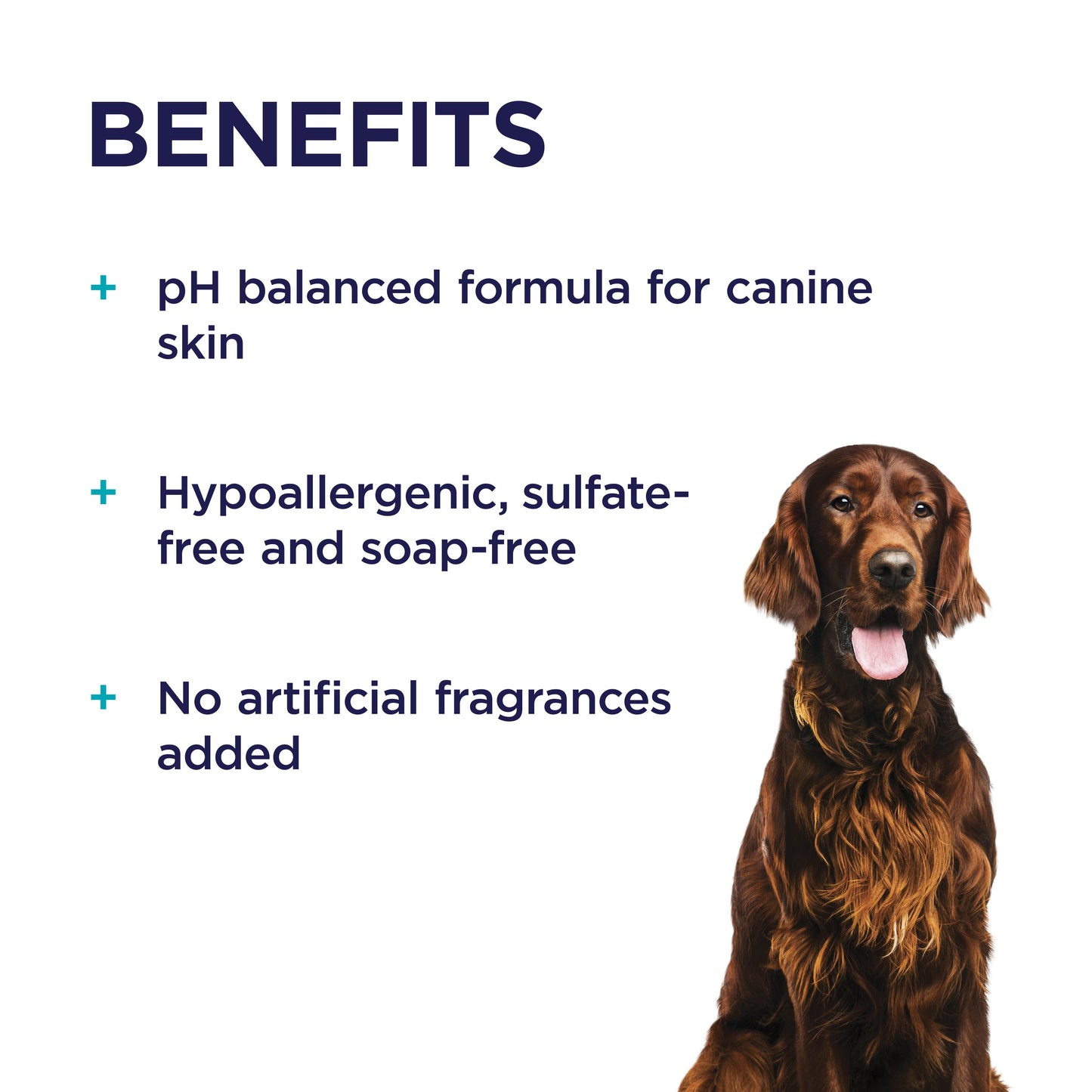 PAW Sensitive Skin Shampoo