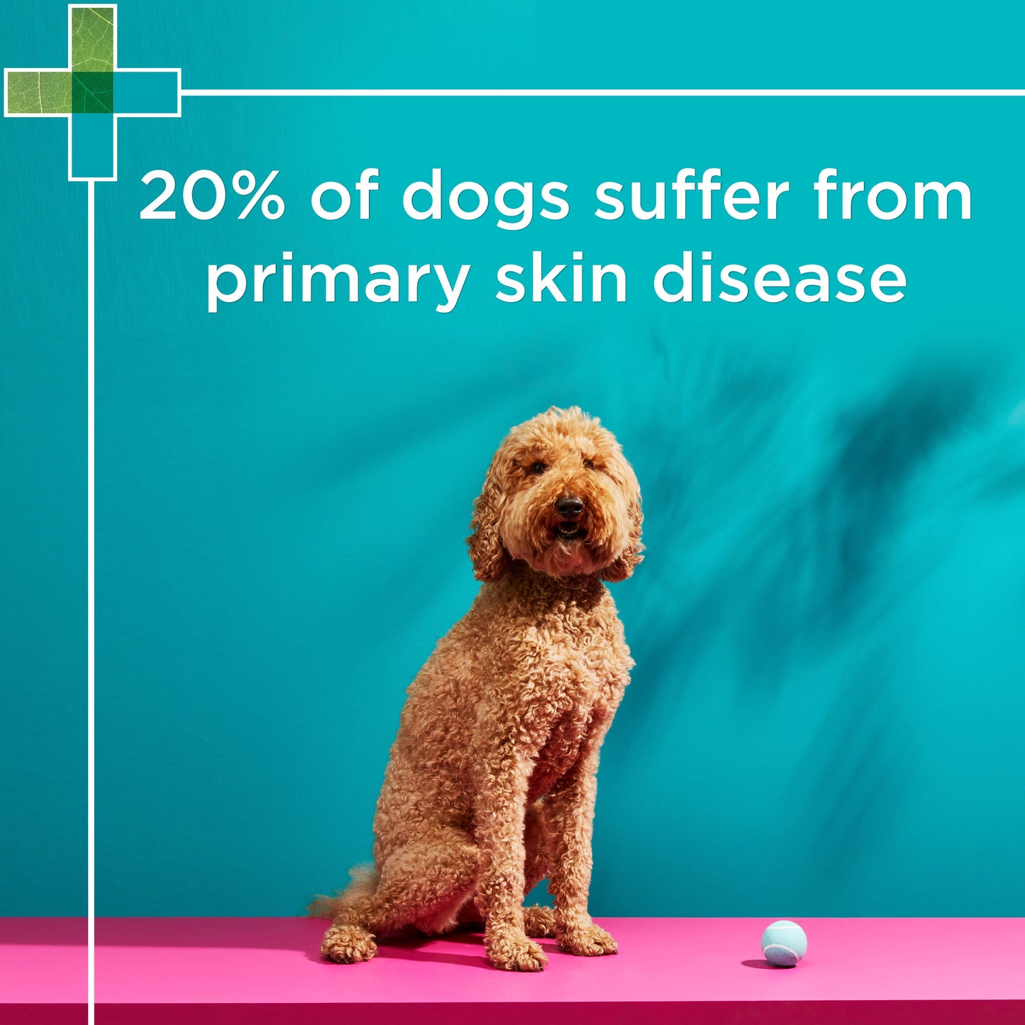 PAW NutriDerm Replenishing Conditioner