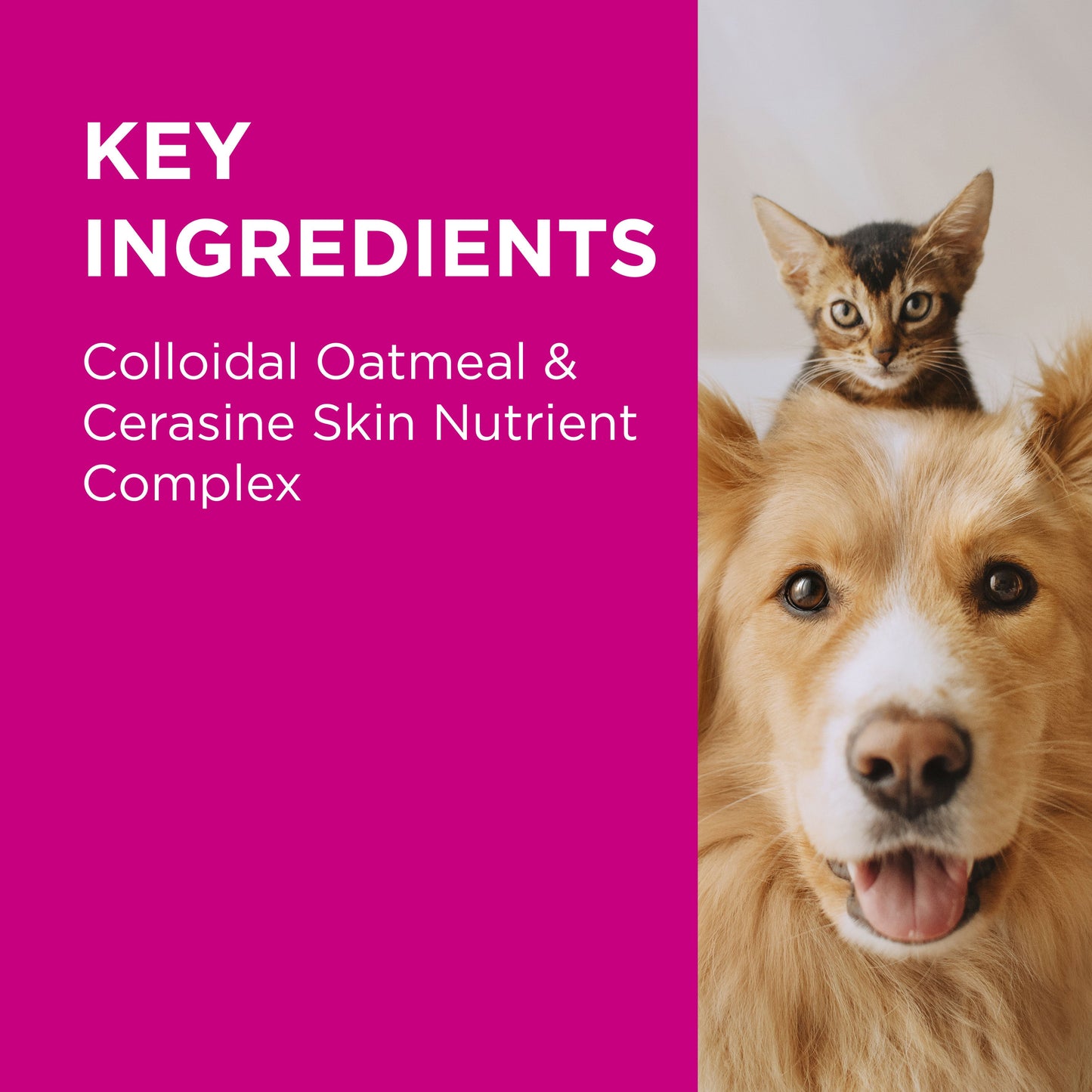 PAW NutriDerm Replenishing Conditioner