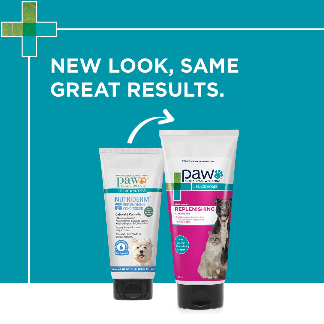 PAW NutriDerm Replenishing Conditioner