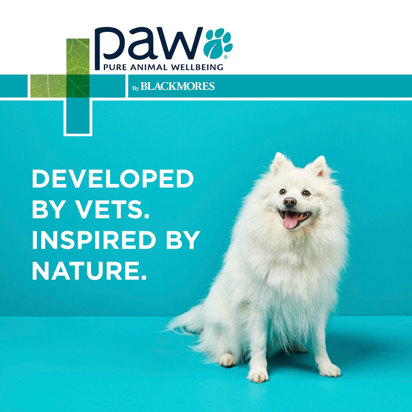 PAW Nutriderm Shampoo 500ml