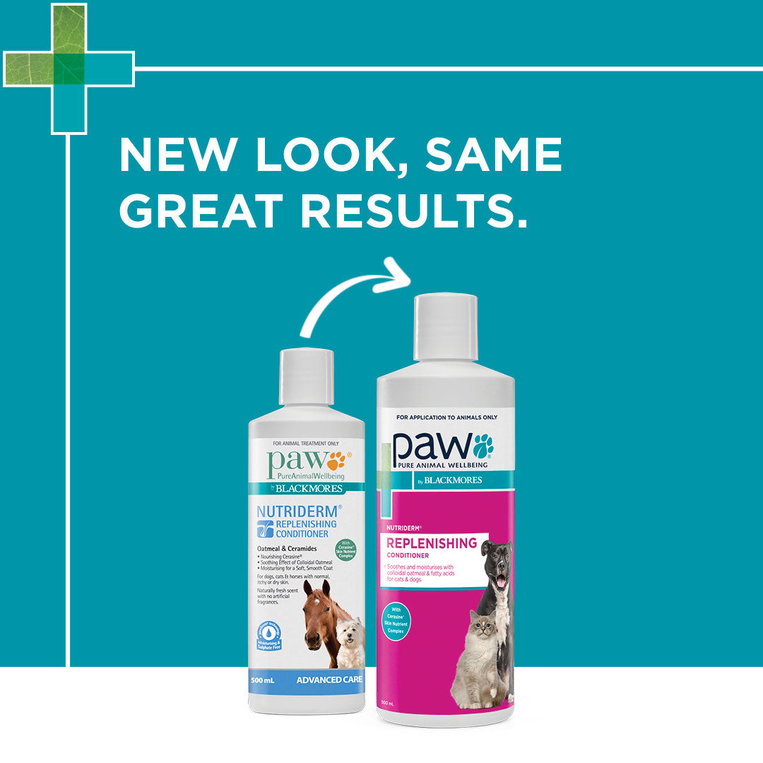 PAW Nutriderm Conditioner