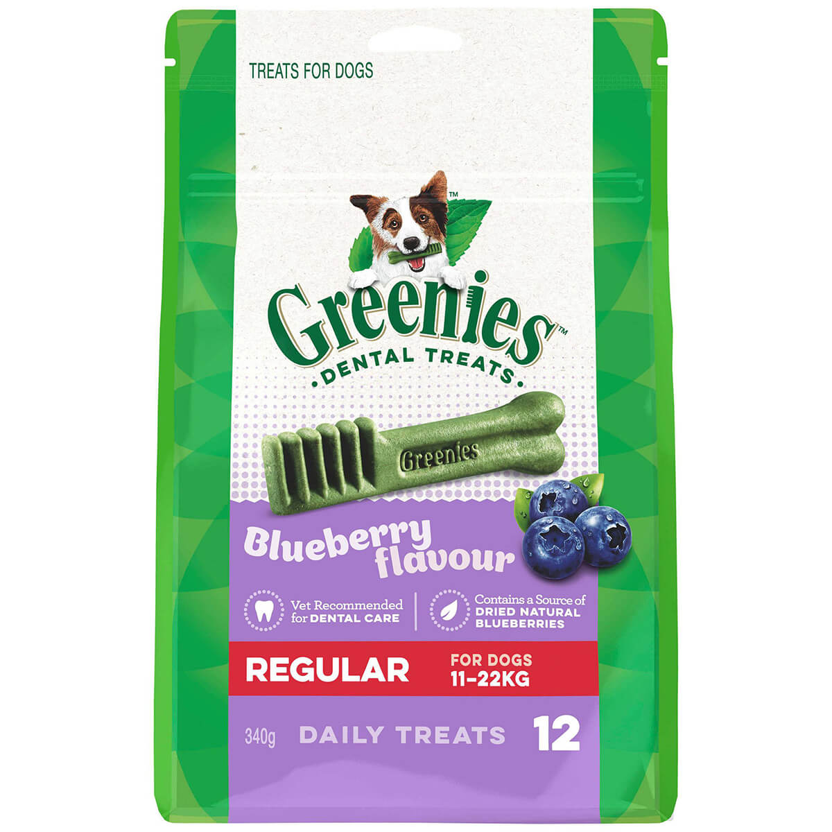 Greenies Blueberry Regular Dental Chews Dog Treats