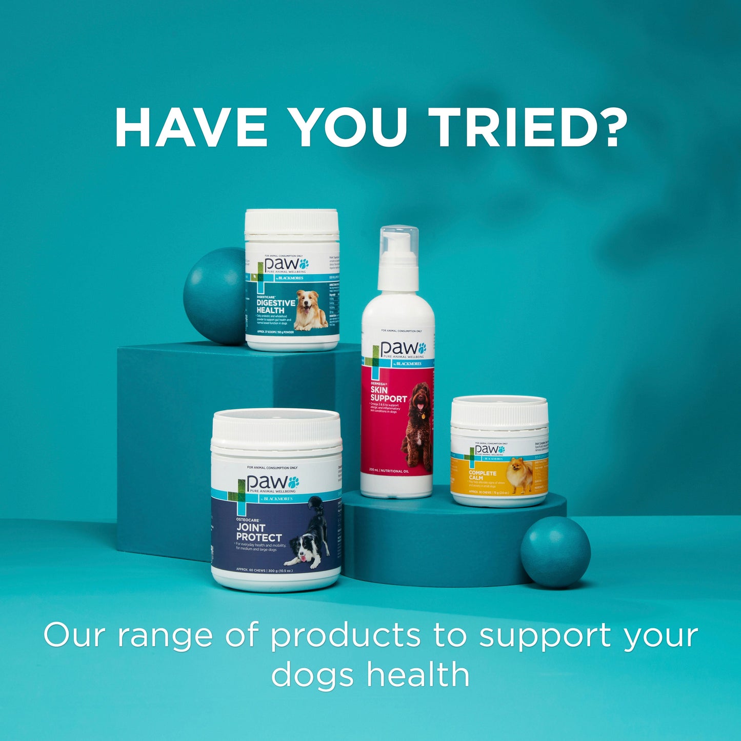 PAW Coat, Skin & Nails Multivitamin Chews 300g