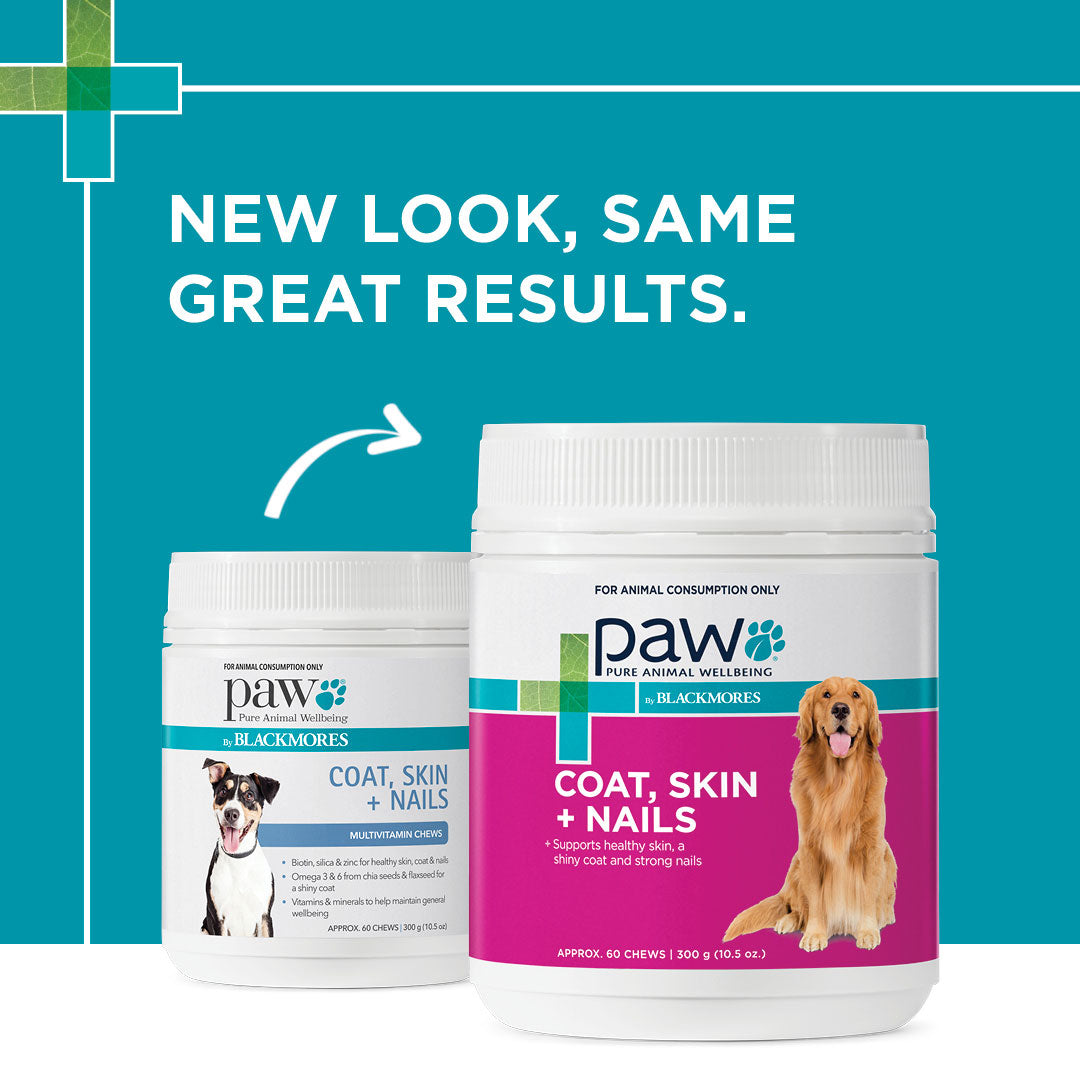 PAW Coat, Skin & Nails Multivitamin Chews 300g