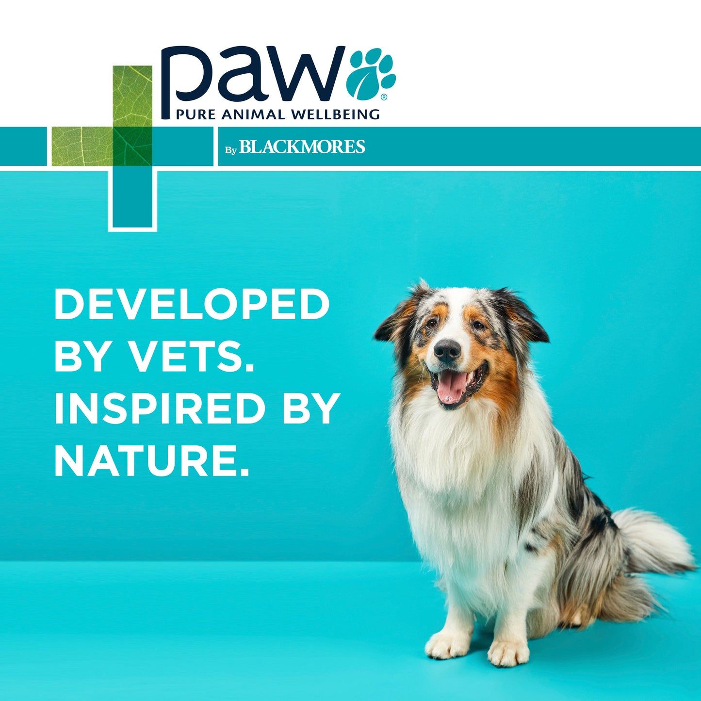 PAW Coat, Skin & Nails Multivitamin Chews 300g