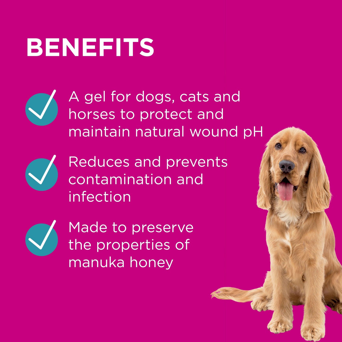 PAW - Manuka Wound Gel