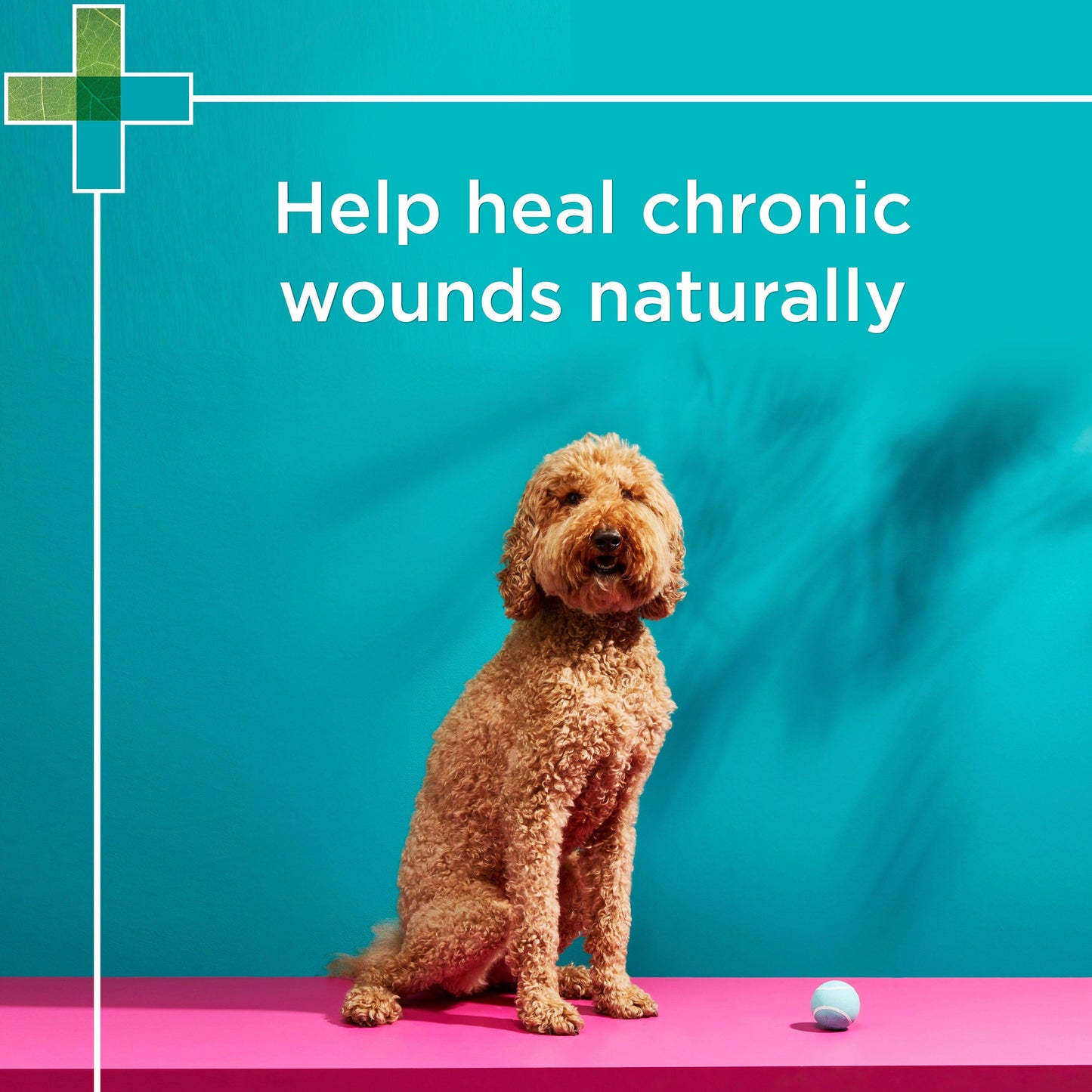 PAW - Manuka Wound Gel
