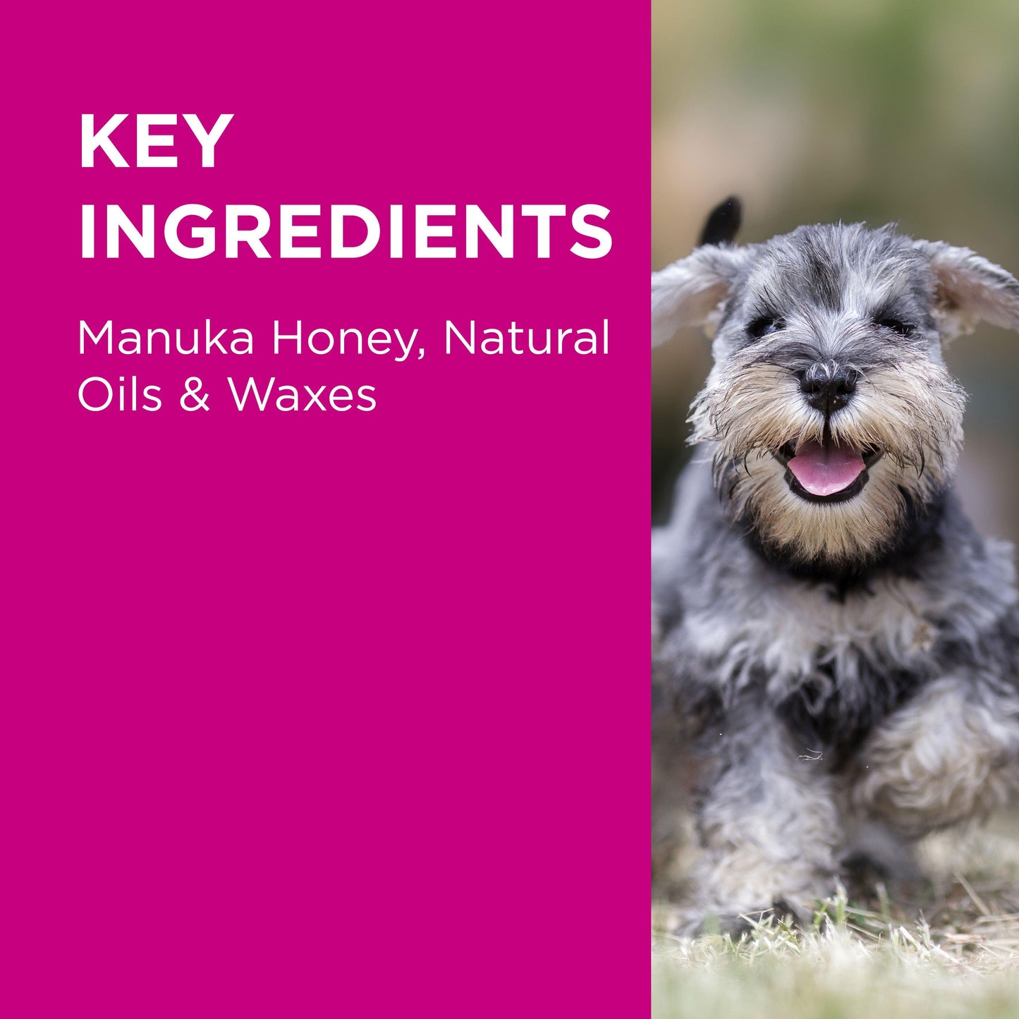PAW - Manuka Wound Gel