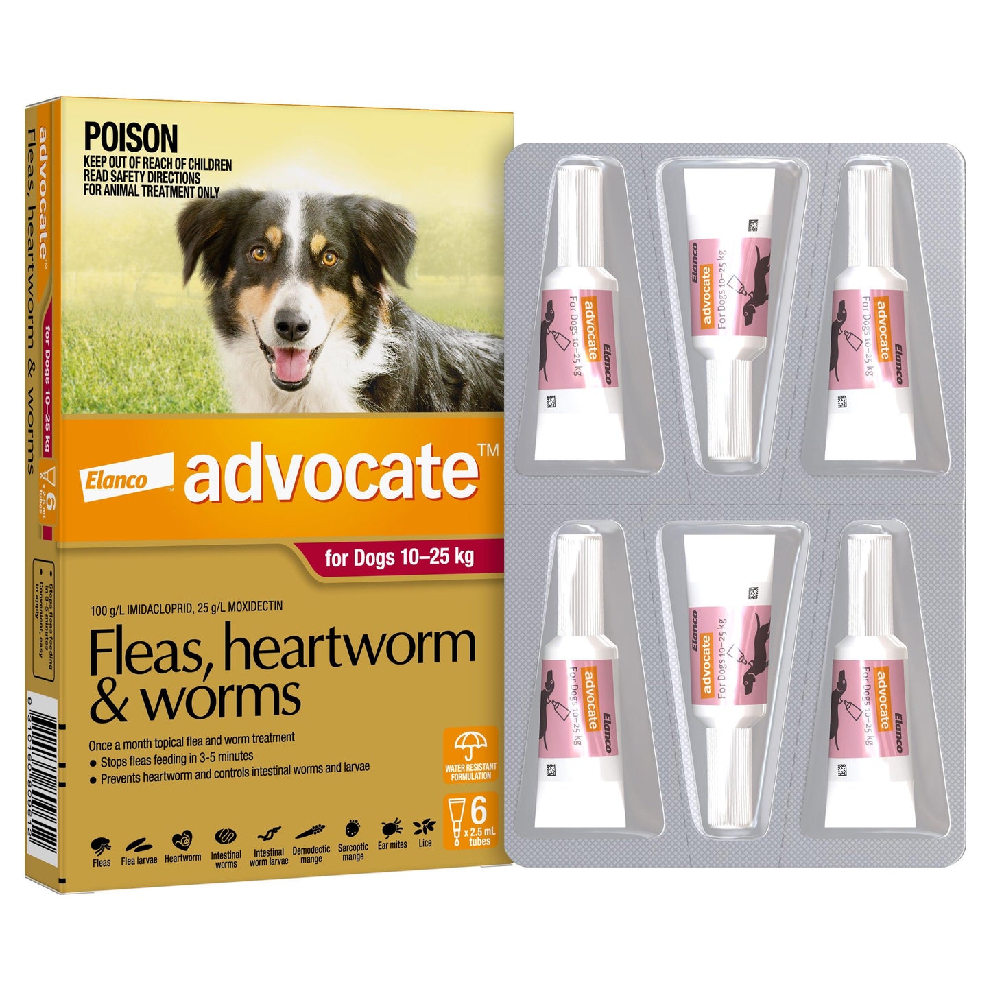 Advocate Flea & Worming Treatment 10-25kg Dog
