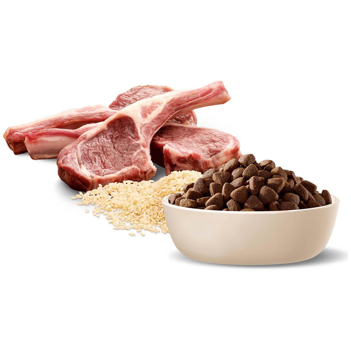 Advance Medium Breed Adult Lamb with Rice Dry Dog Food 20kg