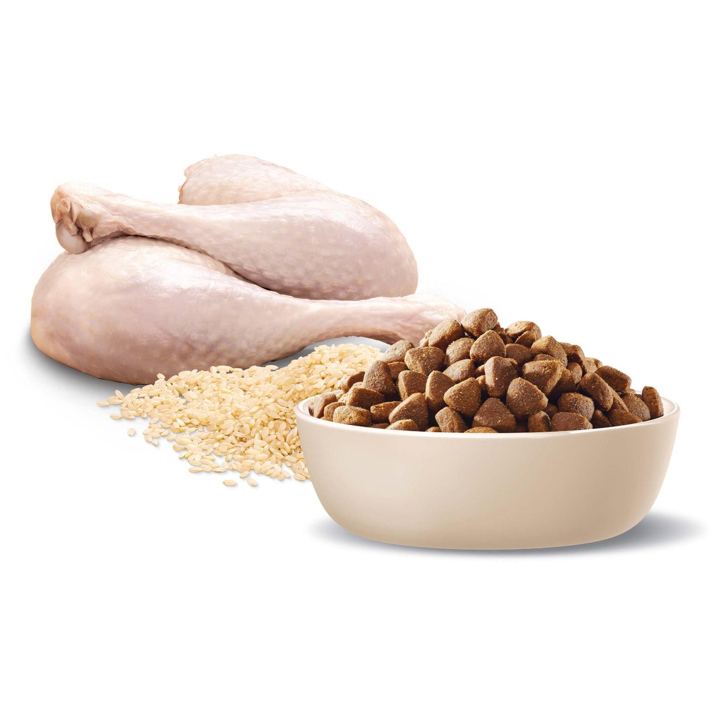Advance  Adult All Breed  Turkey and Rice  Dry Dog Food