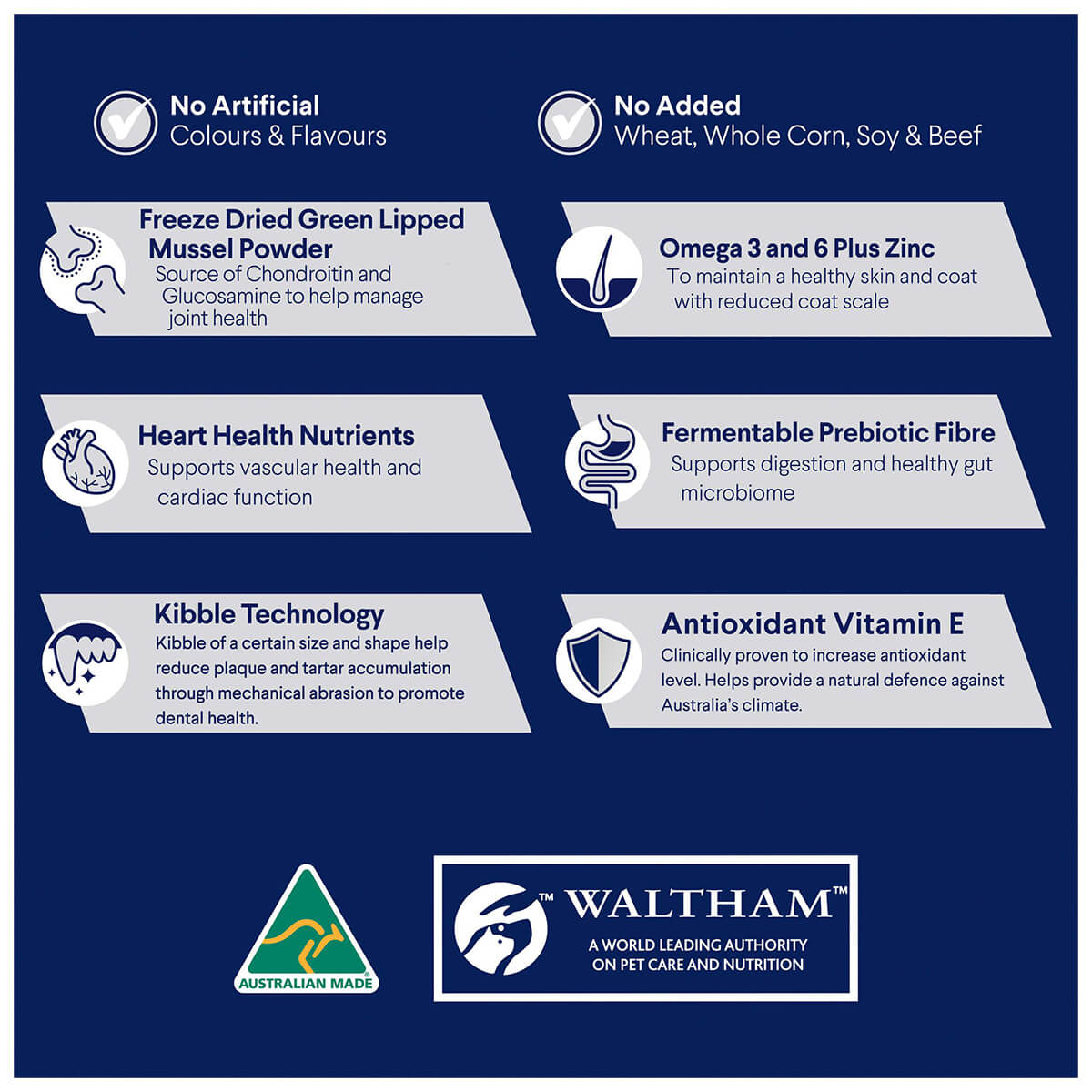 Advance Large Plus Adult Turkey Dry Dog Food