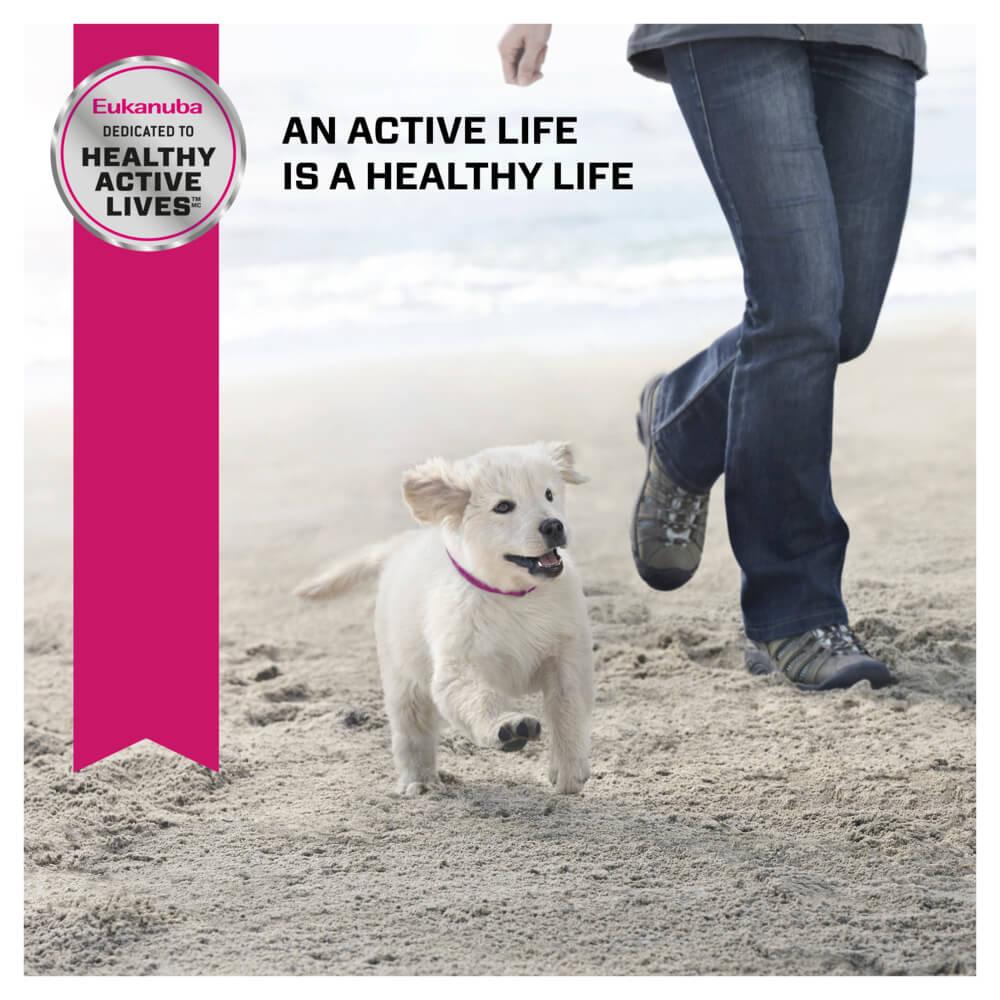 Eukanuba Puppy Chicken Dry Dog Food