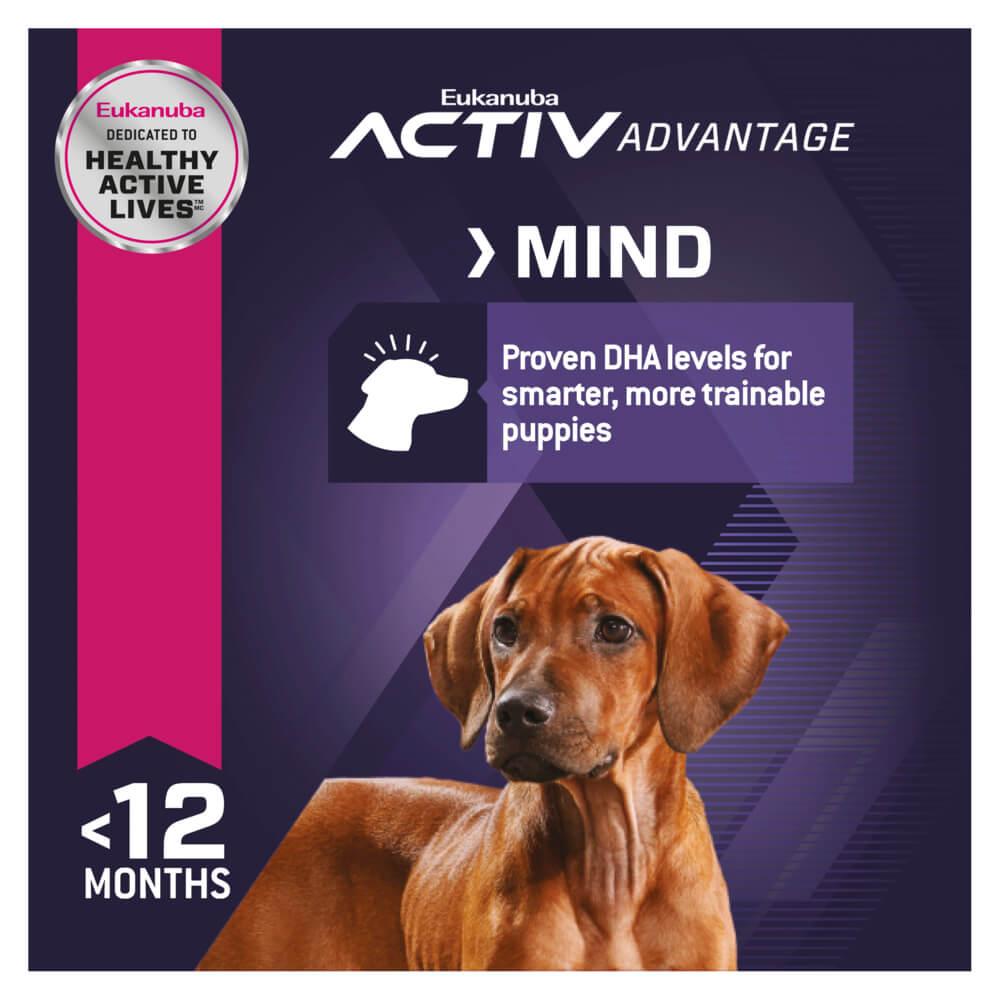 Eukanuba Large Breed Puppy Chicken Dry Dog Food