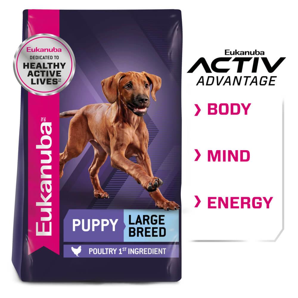Eukanuba Large Breed Puppy Chicken Dry Dog Food