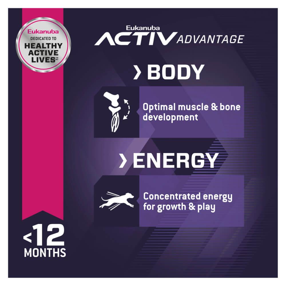 Eukanuba Large Breed Puppy Chicken Dry Dog Food