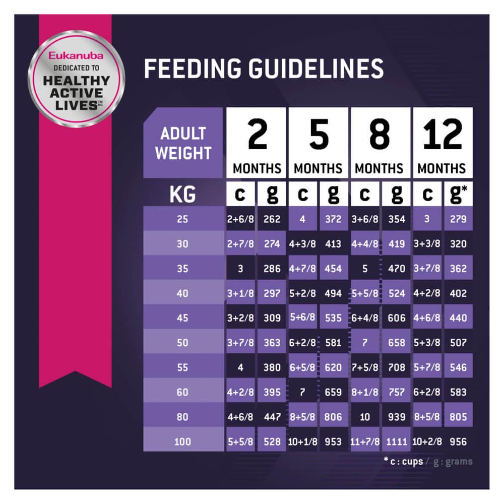 Eukanuba Large Breed Puppy Chicken Dry Dog Food