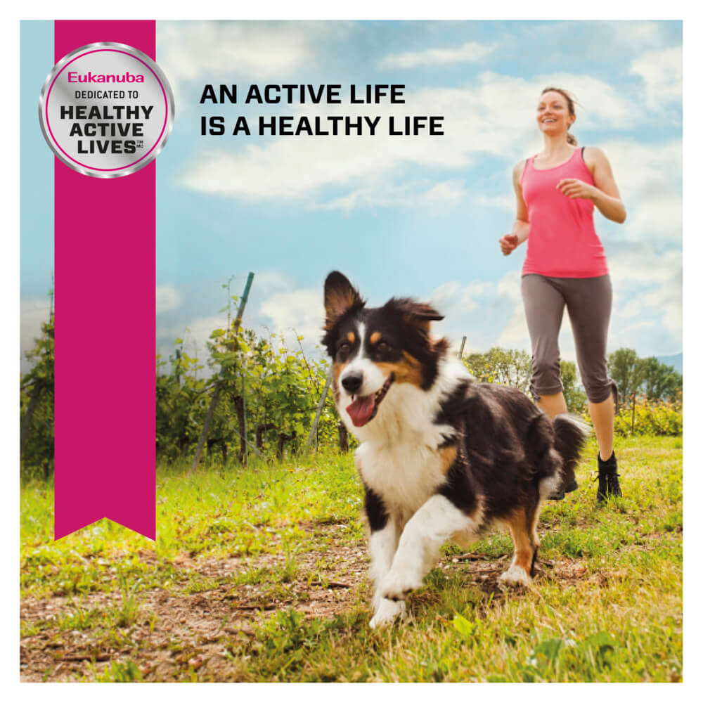 Eukanuba Senior Chicken Dry Dog Food