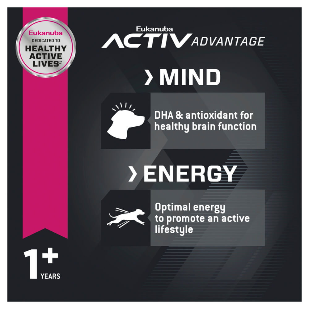 Eukanuba Large Breed Adult Chicken Dry Dog Food