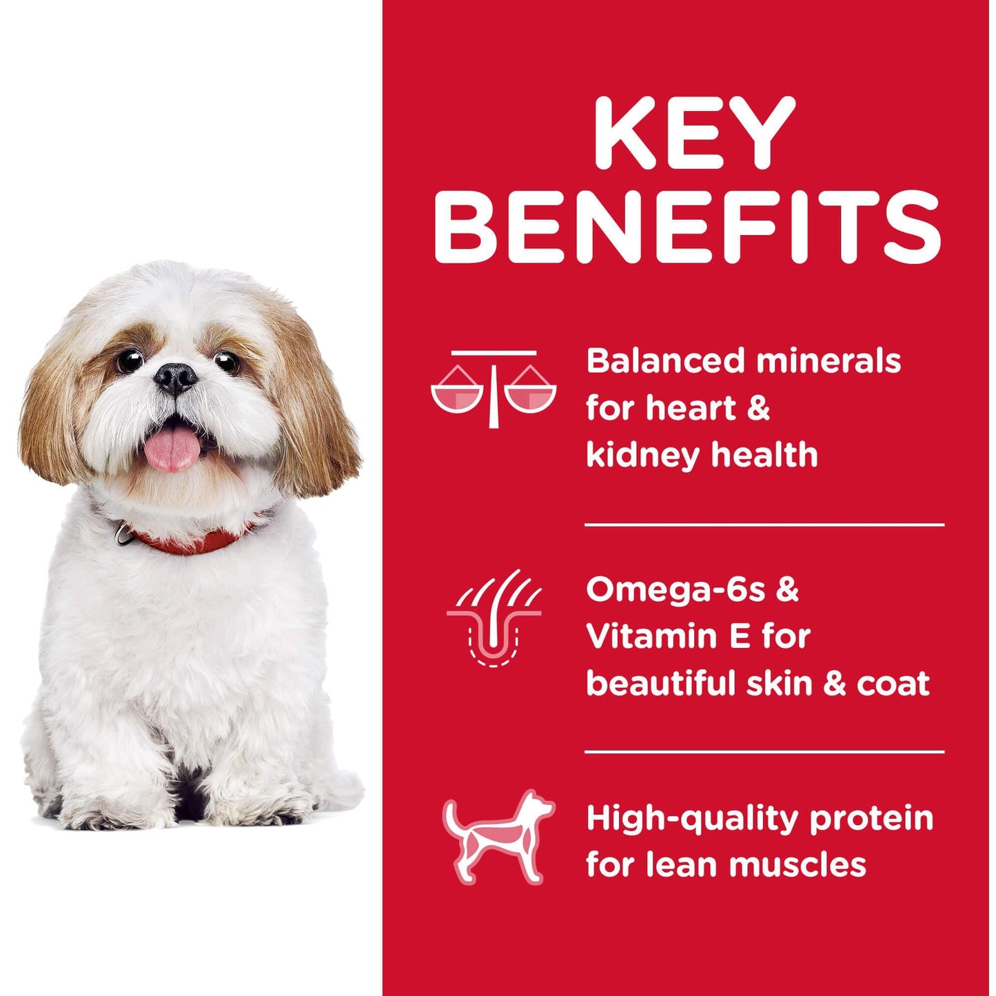 Hill's Science Diet Small Bites Senior Chicken Dry Dog Food