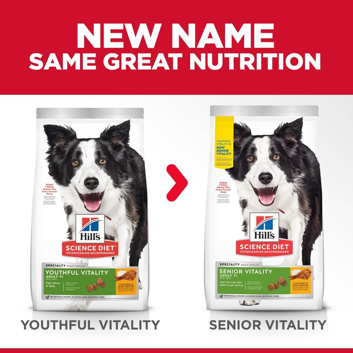 Hill's Science Diet Youthful Vitality Senior Chicken Dry Dog Food