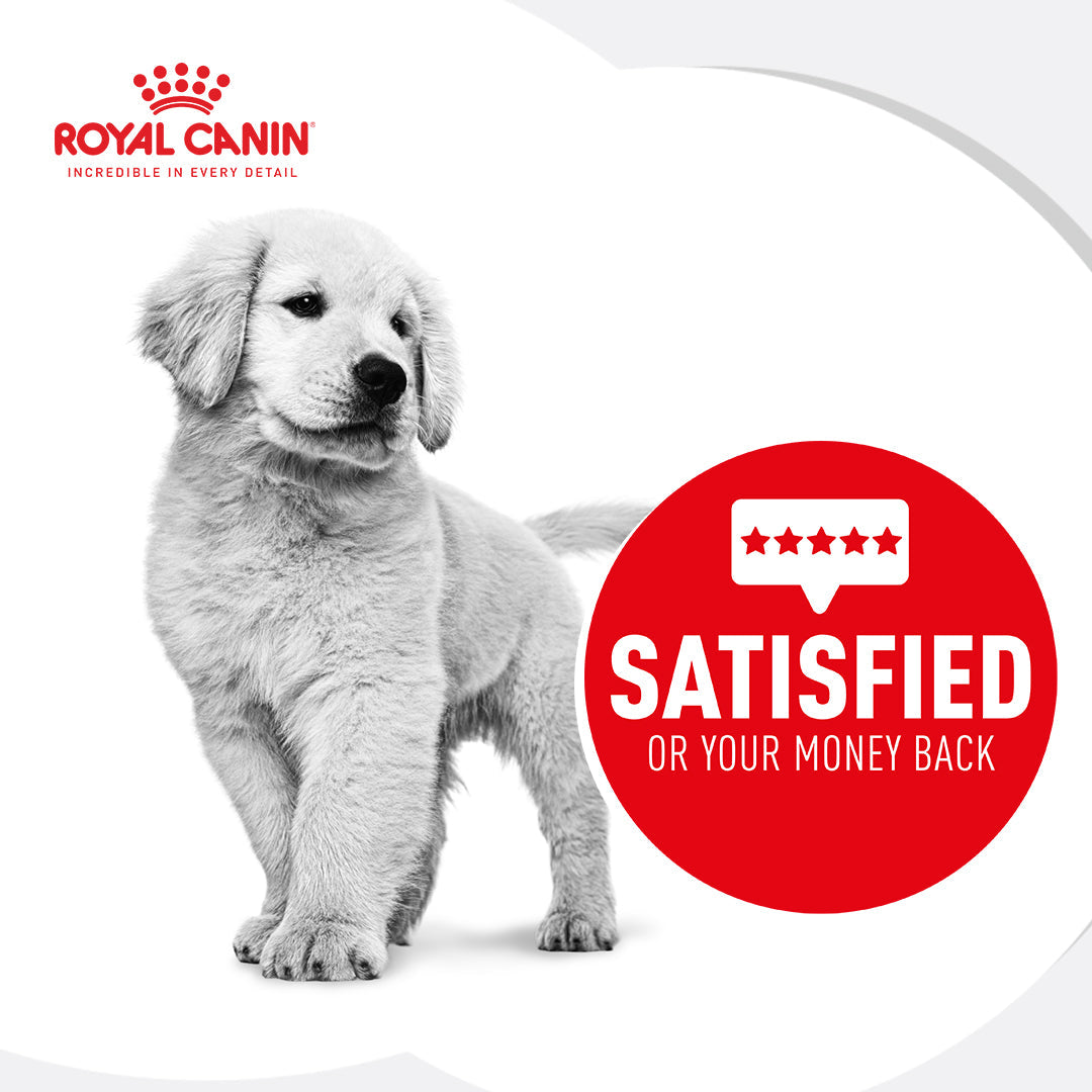Royal Canin Golden Retriever Puppy Chicken Dry Dog Food