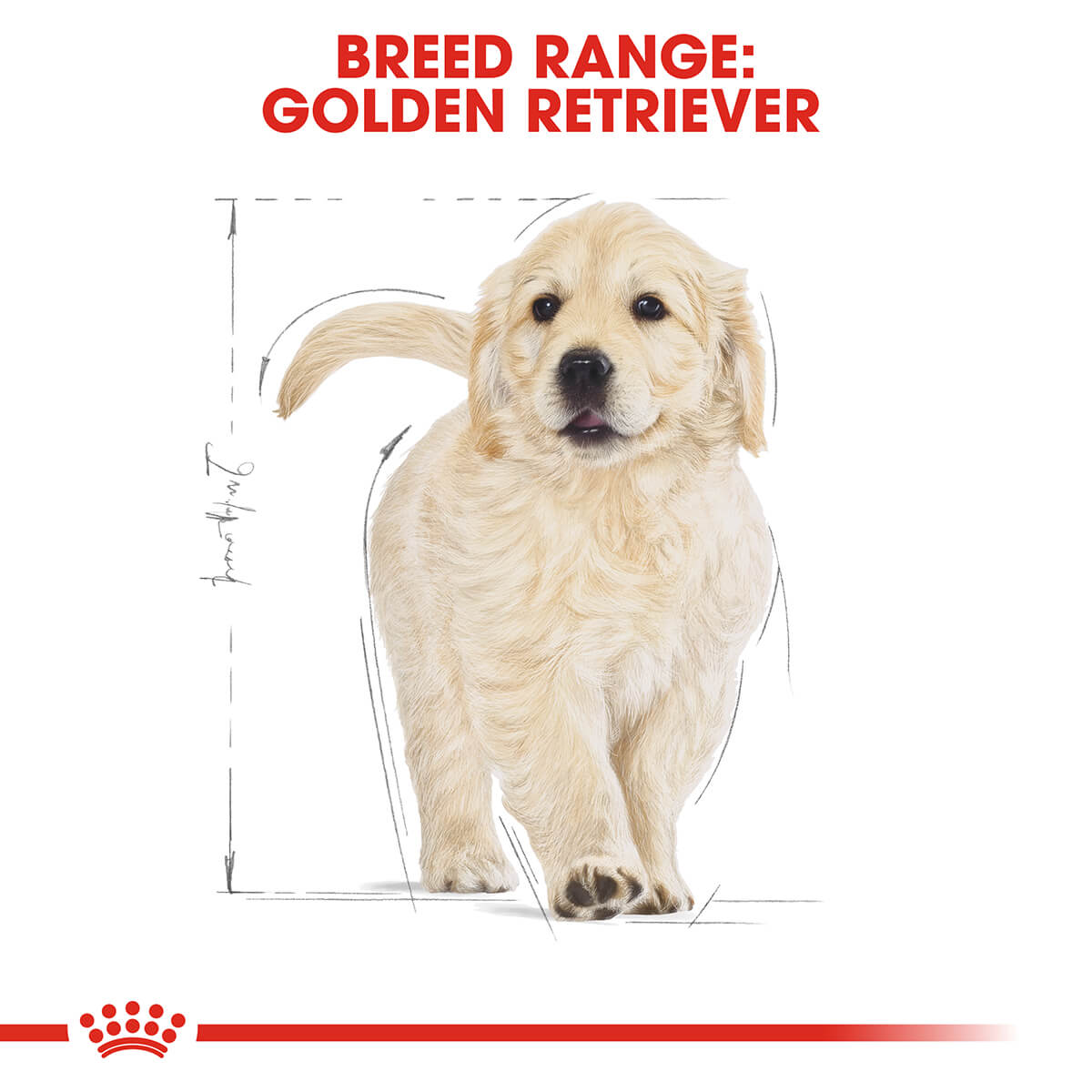 Royal Canin Golden Retriever Puppy Chicken Dry Dog Food
