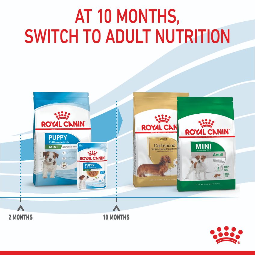 Royal Canin Mini Breed Puppy Dry Dog Food