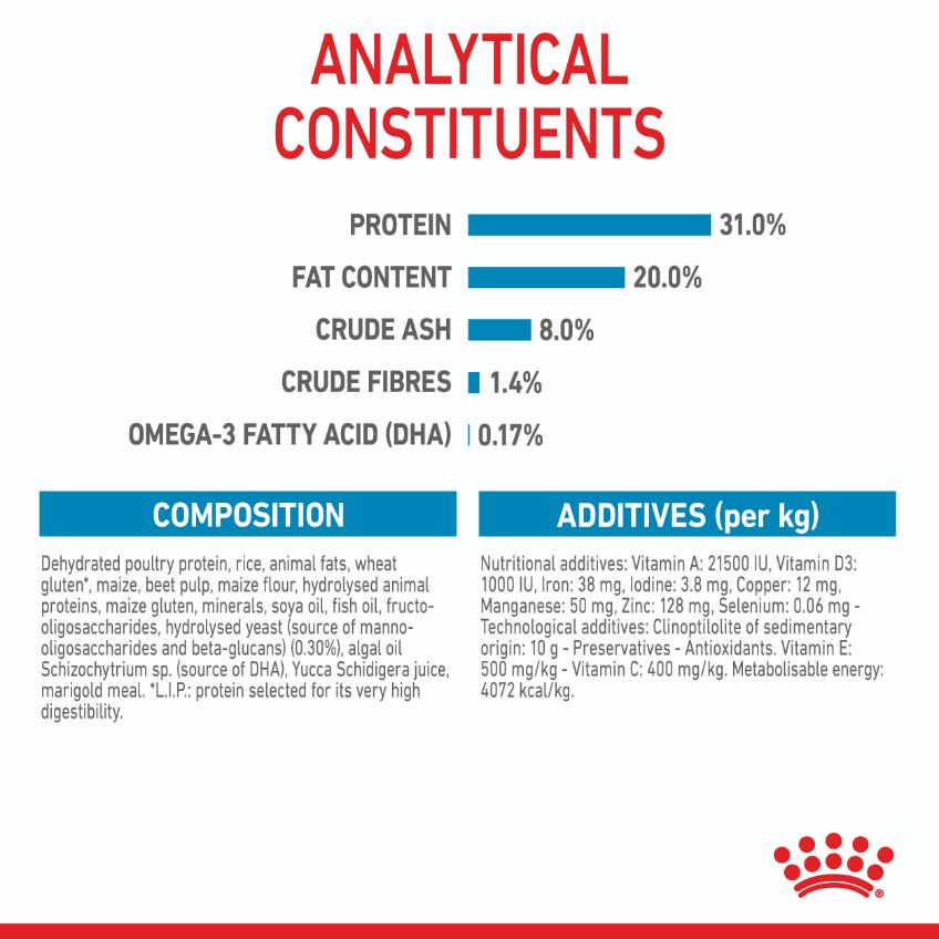 Royal Canin Mini Breed Puppy Dry Dog Food