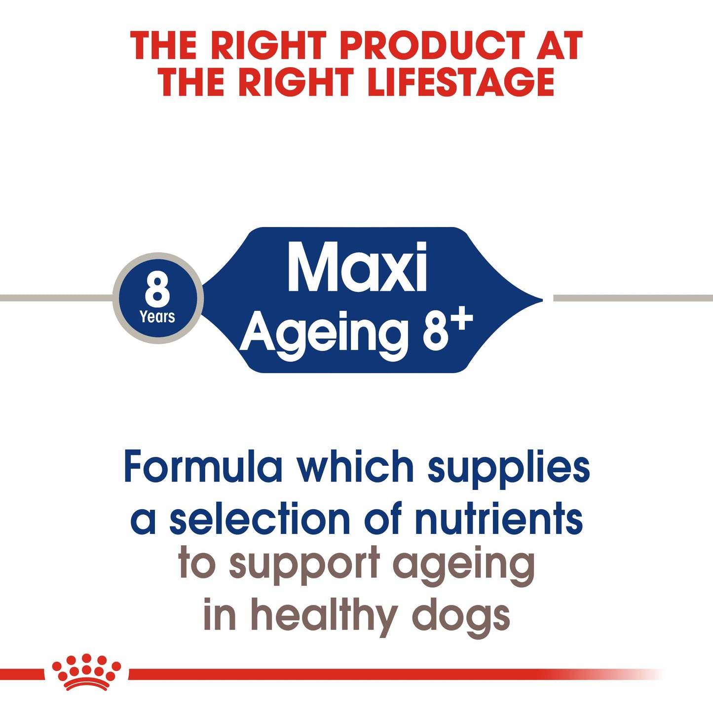 Royal Canin Maxi Ageing 8+ Senior Dry Dog Food