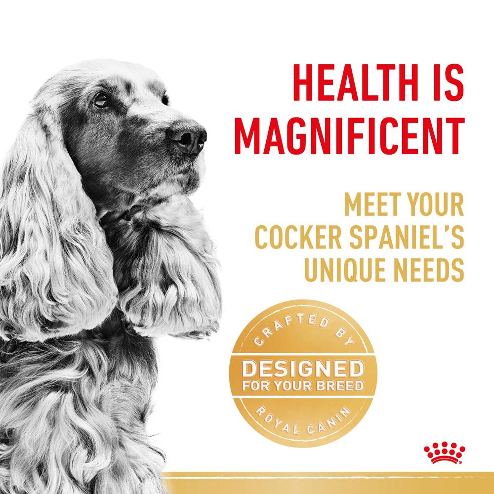 Royal Canin Cocker Spaniel Adult Dry Dog Food
