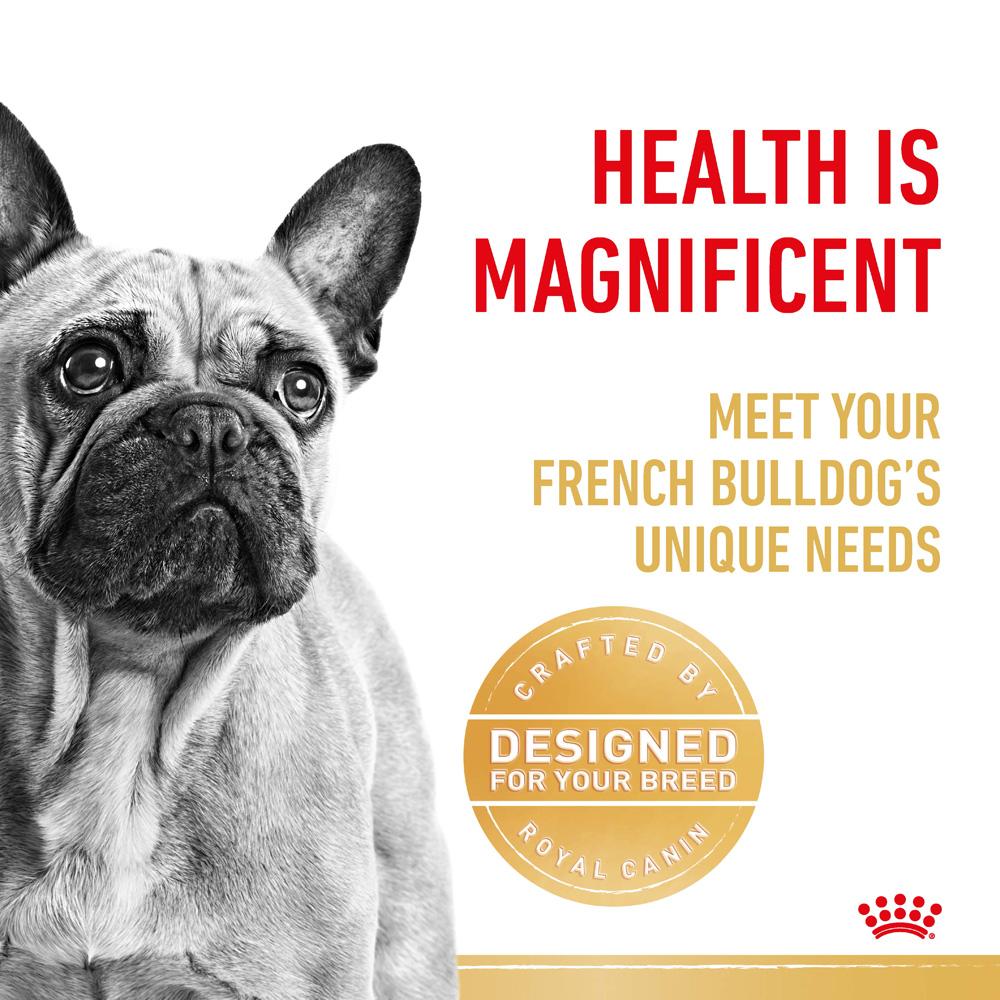 Royal Canin French Bulldog Adult Dry Dog Food