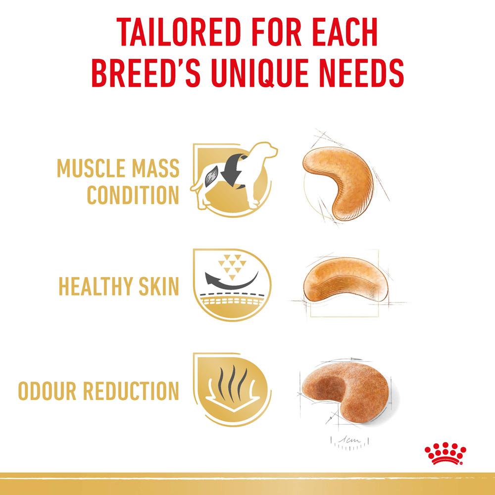 Royal Canin French Bulldog Adult Dry Dog Food