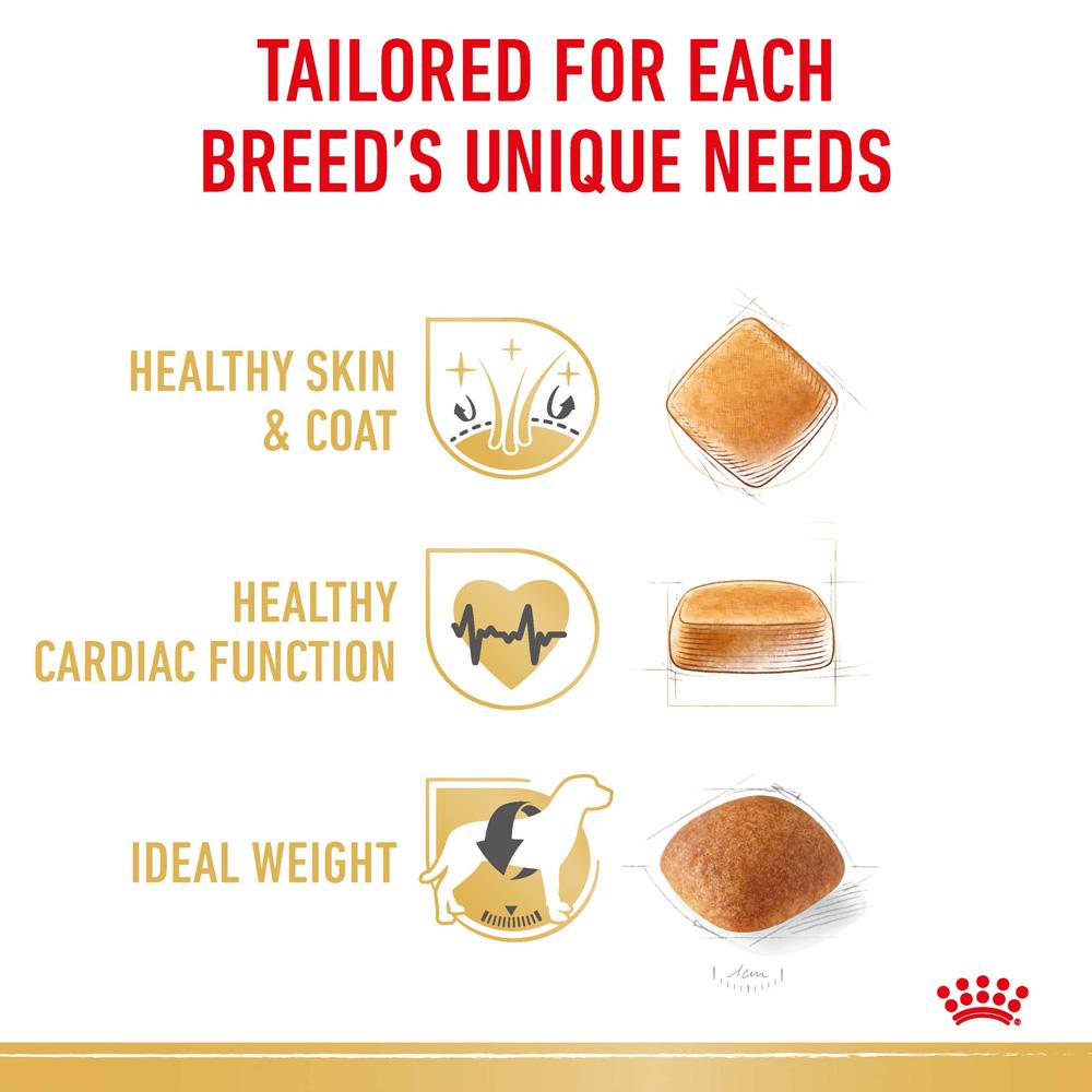 Royal Canin Golden Retriever Adult Dry Dog Food