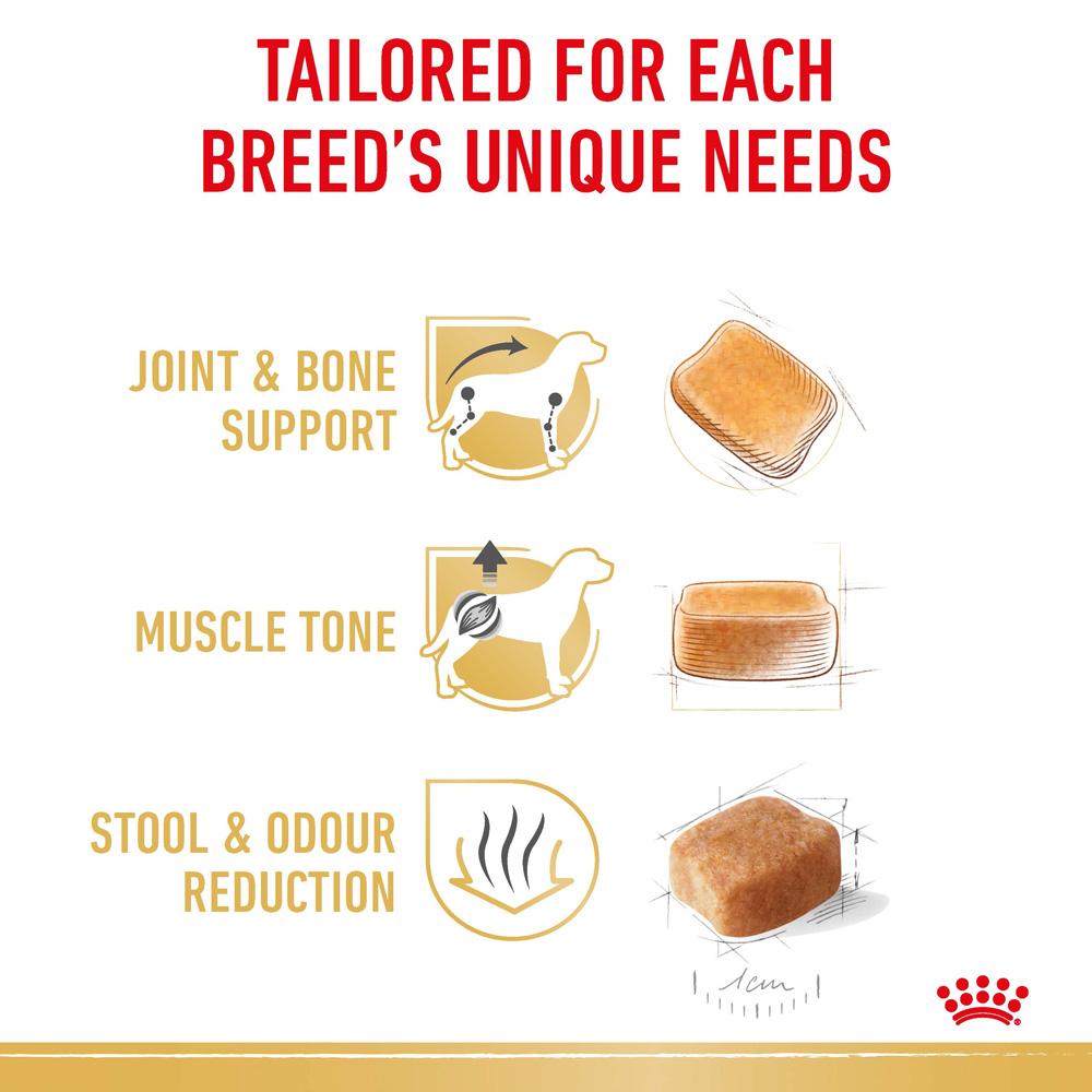 Royal Canin Dachshund Adult Dry Dog Food