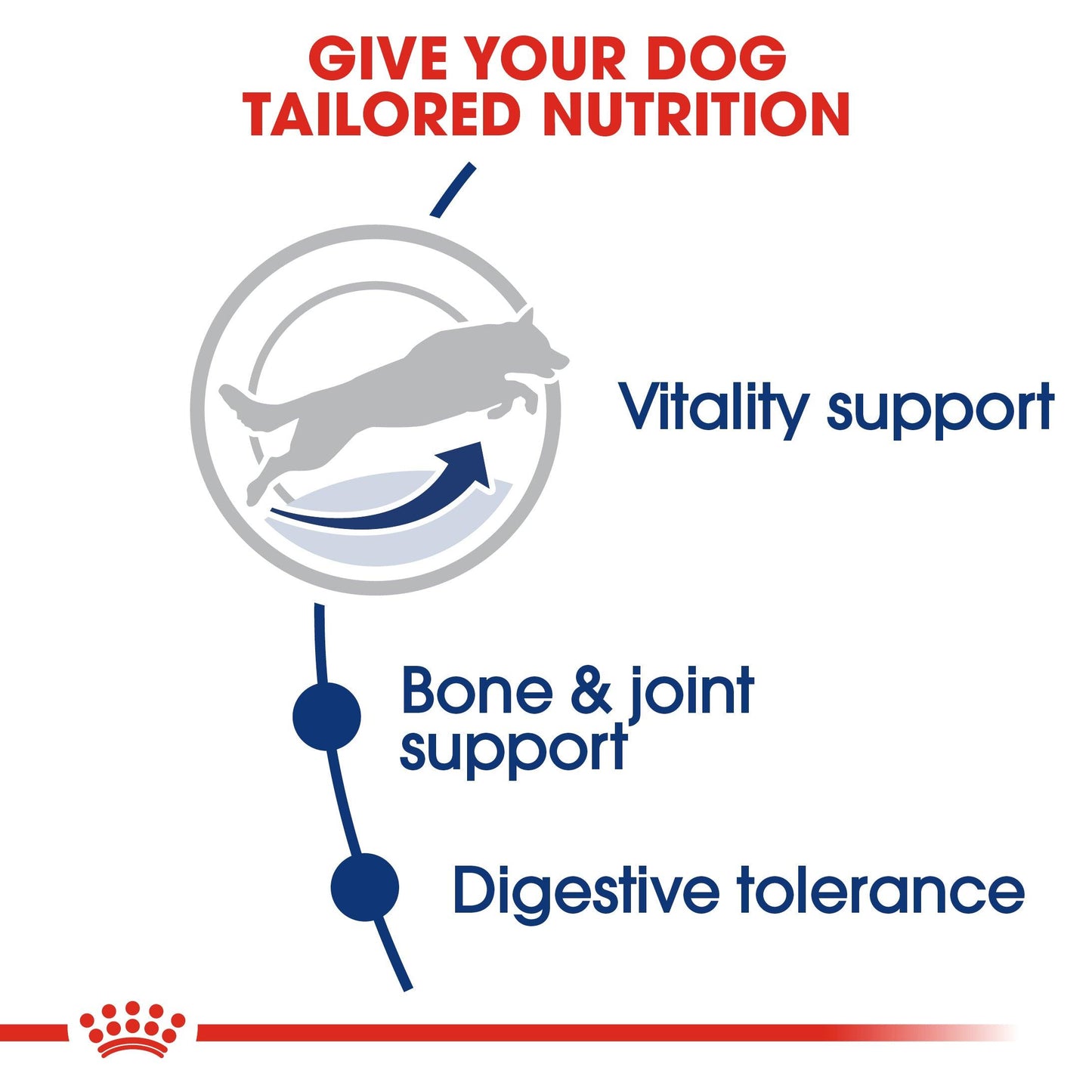 Royal Canin Maxi Large Breed Adult 5+ Chicken Dry Dog Food