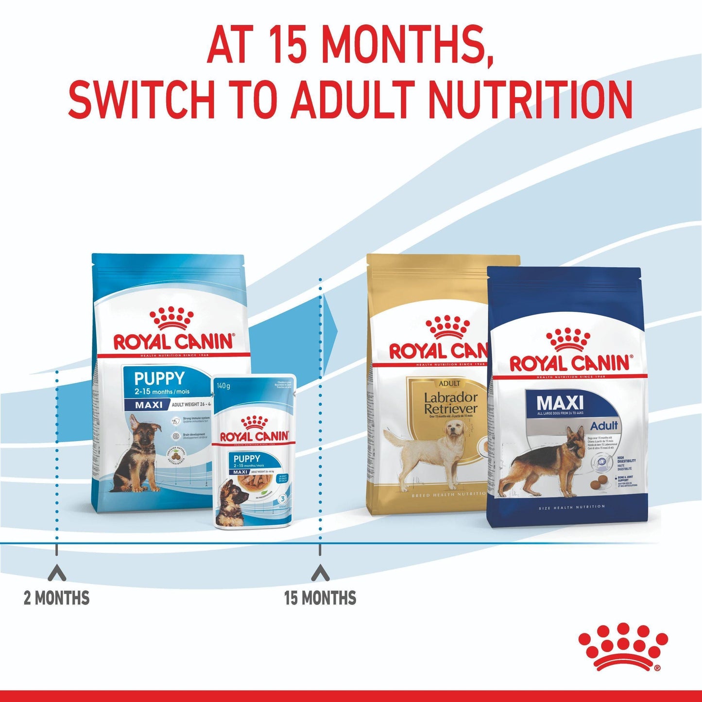 Royal Canin Maxi Large Breed Puppy Chicken Dry Dog Food