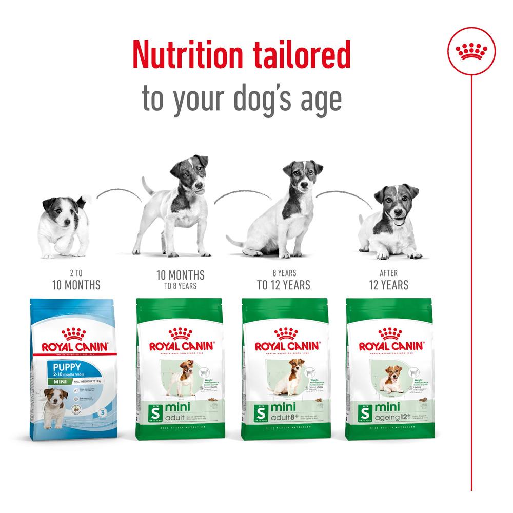 Royal Canin Mini Small Breed Adult Chicken Dry Dog Food