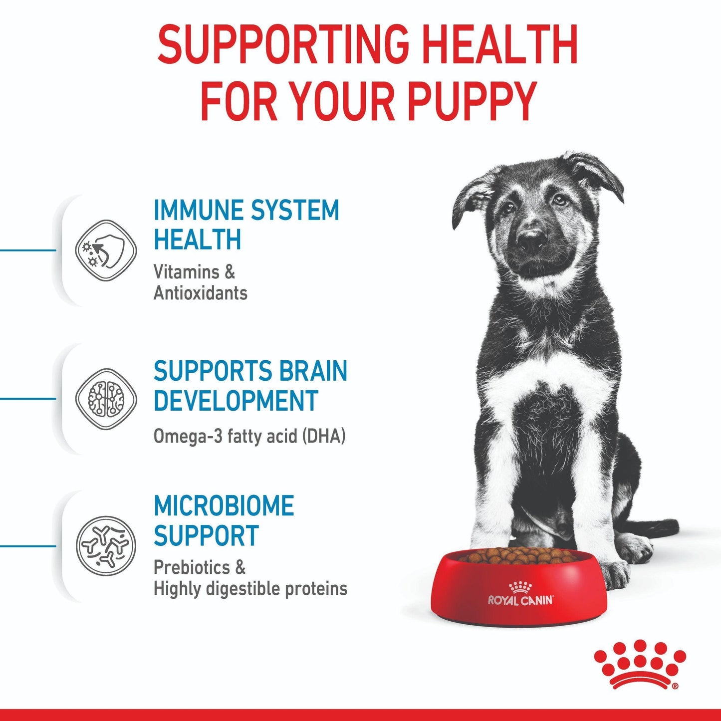 Royal Canin Maxi Large Breed Puppy Chicken Dry Dog Food