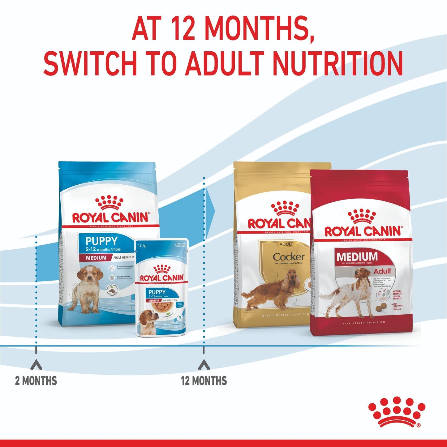 Royal Canin Medium Breed Puppy Chicken Dry Dog Food