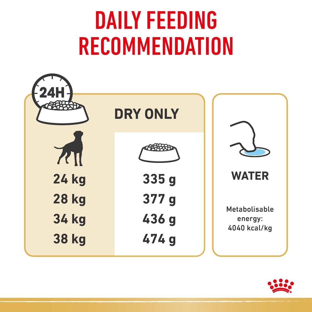 Royal Canin Boxer Adult Dry Dog Food